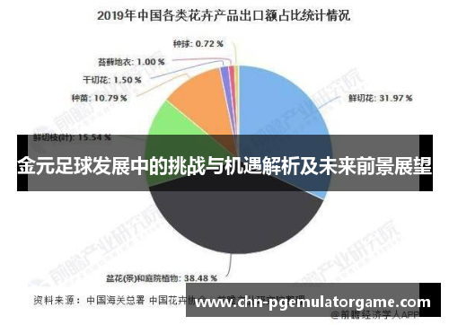 金元足球发展中的挑战与机遇解析及未来前景展望